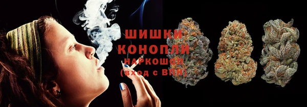 эйфоретик Болотное