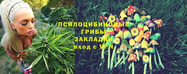 тгк Белокуриха