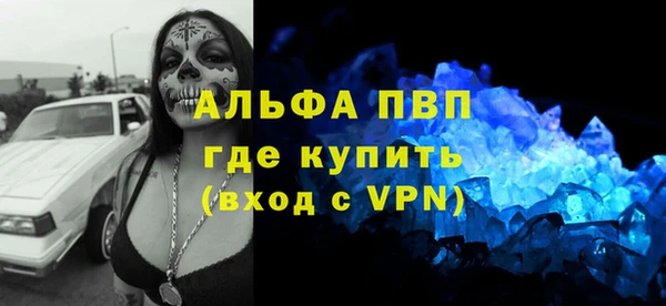 PSILOCYBIN Болохово
