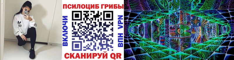 как найти наркотики  Губкинский  Галлюциногенные грибы мицелий 